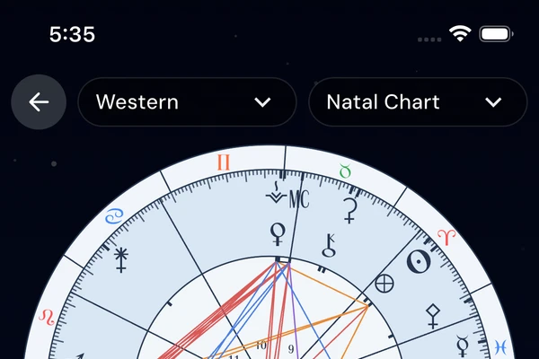 Birth chart exploration across multiple systems